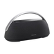 Harman Kardon Go + Play