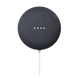 Google Nest Mini